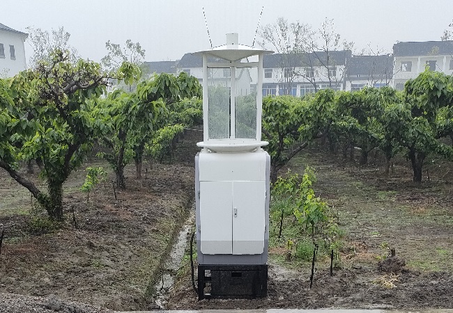 蟲情測報燈助力茶園害蟲防控