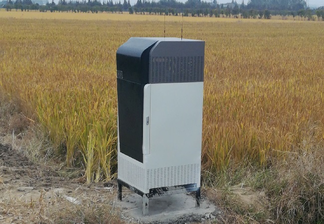 孢子捕捉儀助力小麥病害防治