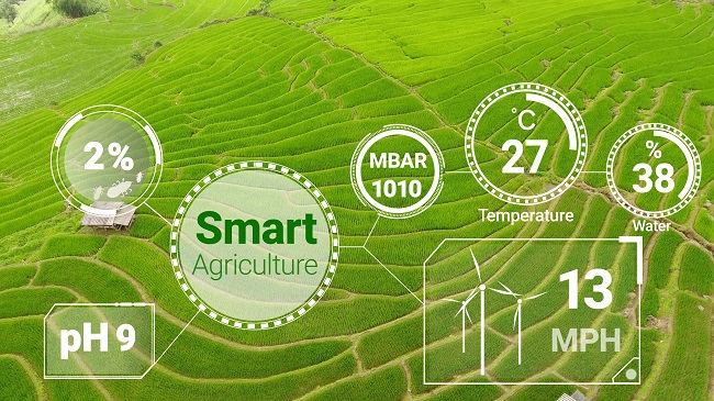 打造數(shù)字農(nóng)業(yè)農(nóng)村全鏈條服務(wù)生態(tài)圈