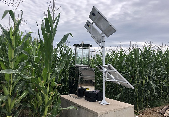 蟲情測報燈的選購注意事項