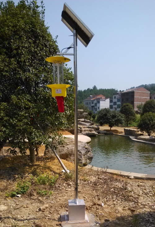 如何使用紫外線誘捕蒼蠅？