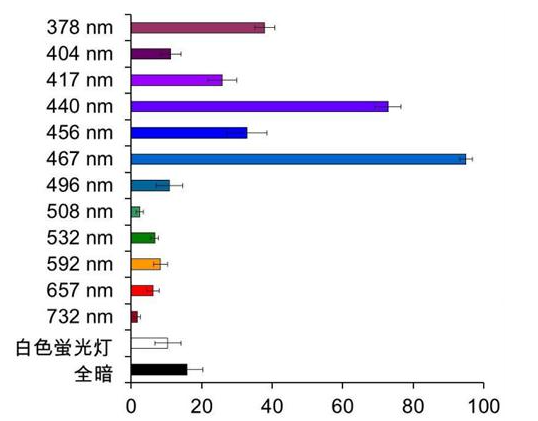 藍色是殺蟲工具。 存在于昆蟲中