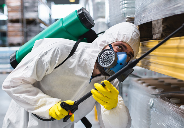 害蟲預(yù)防與害蟲防治方法