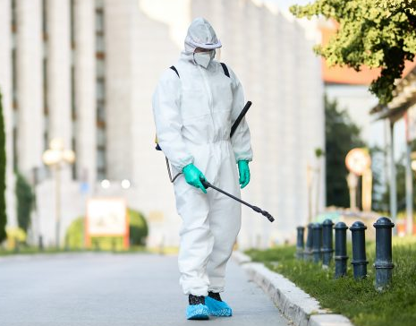 5種有效控制家庭和辦公室害蟲的方法