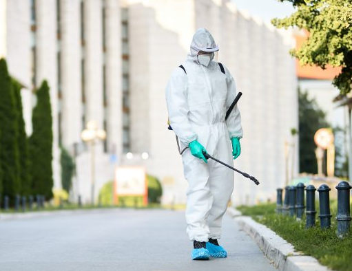 害蟲防治對(duì)工作環(huán)境的益處