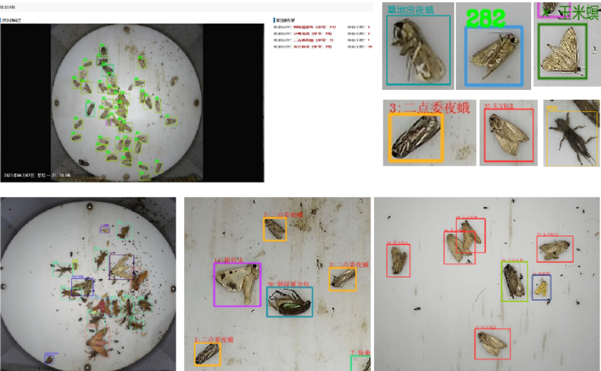 重磅！河南省農(nóng)科院與云飛科技聯(lián)合發(fā)布DeepSeek農(nóng)業(yè)智能體