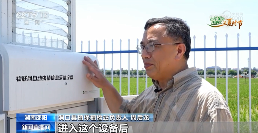 央視報道！云飛科技智慧植保設(shè)備助力湖南早稻蟲害精準(zhǔn)防控