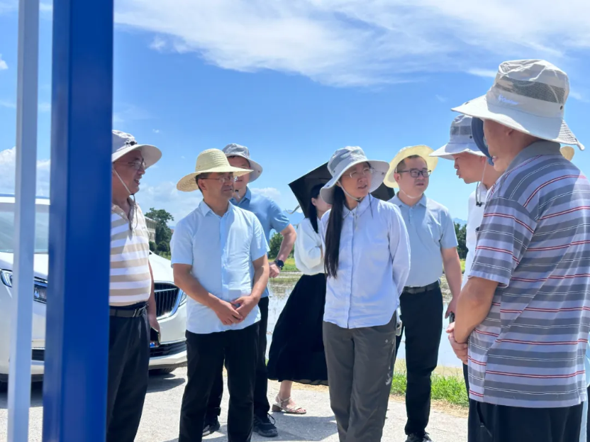 全國秋糧病蟲害會商會召開 | 云飛科技湖南省級監(jiān)測點獲肯定