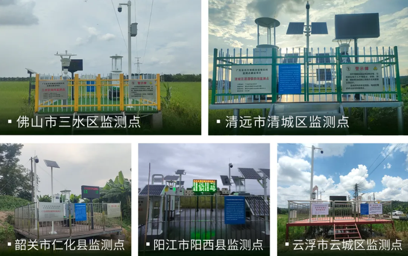 云飛科技承建廣東五地病蟲監(jiān)測網(wǎng)絡(luò) 5縣15鄉(xiāng)織就“數(shù)字防蟲網(wǎng)”