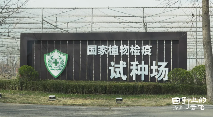 全國(guó)農(nóng)技推廣中心順義基地：數(shù)字監(jiān)測(cè)勾勒植保新圖景