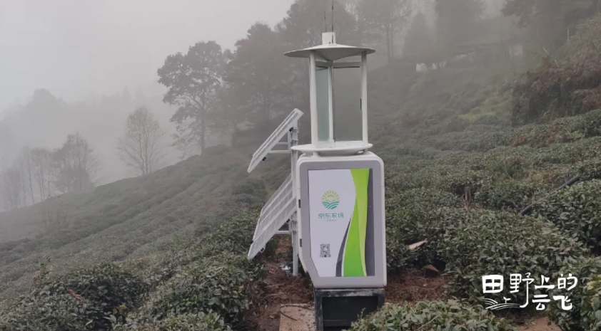 80+京東農(nóng)場(chǎng)：健康餐桌背后的數(shù)字守護(hù)