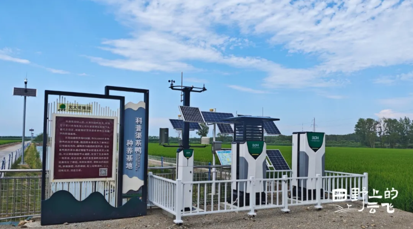 在北大荒，100個(gè)農(nóng)場(chǎng)的黑土地有了“新科技”