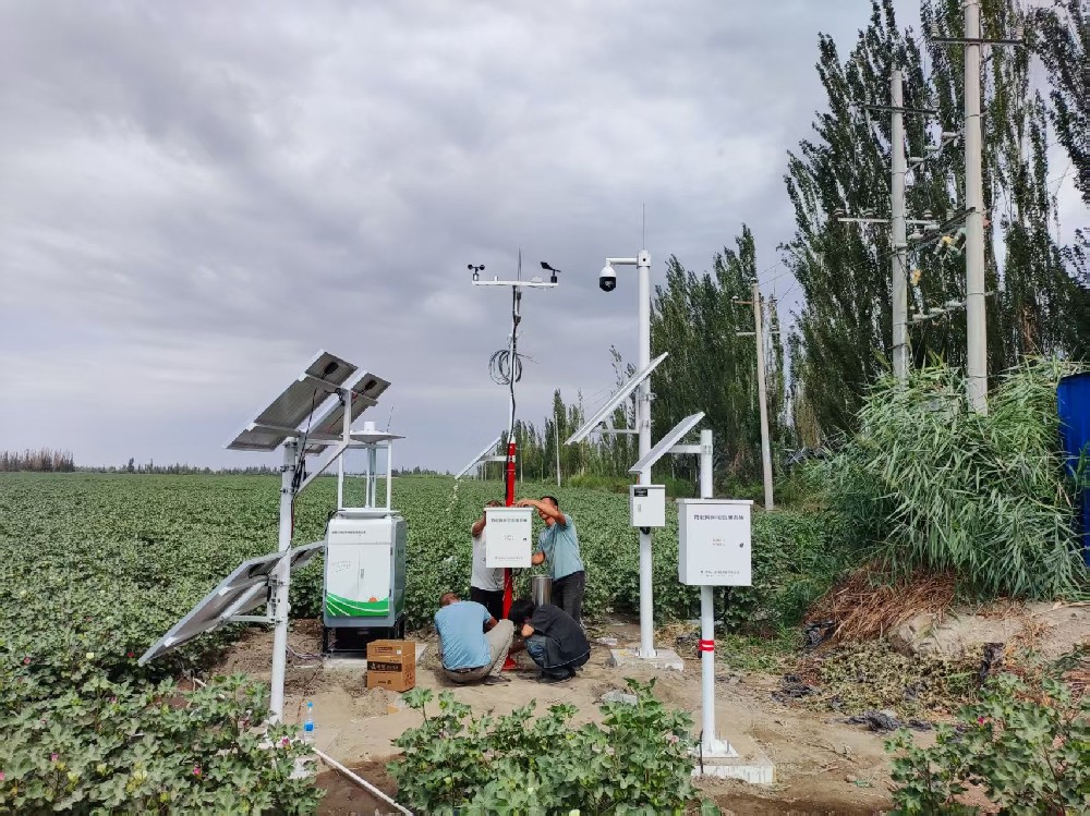 庫(kù)爾勒市制種大縣項(xiàng)目：在戈壁綠洲，讓田野可感、可判、可控
