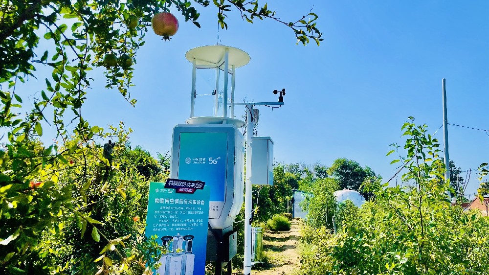 中國(guó)移動(dòng)5G+智慧果園 種石榴有了“新科技”