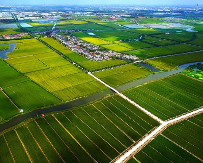 農(nóng)林“四情”監(jiān)測預(yù)警系統(tǒng)是什么？