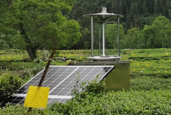 蟲(chóng)情信息采集系統(tǒng)助力蔬菜實(shí)現(xiàn)綠色生態(tài)化種植