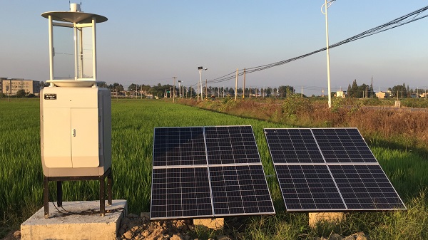 蟲情測(cè)報(bào)燈