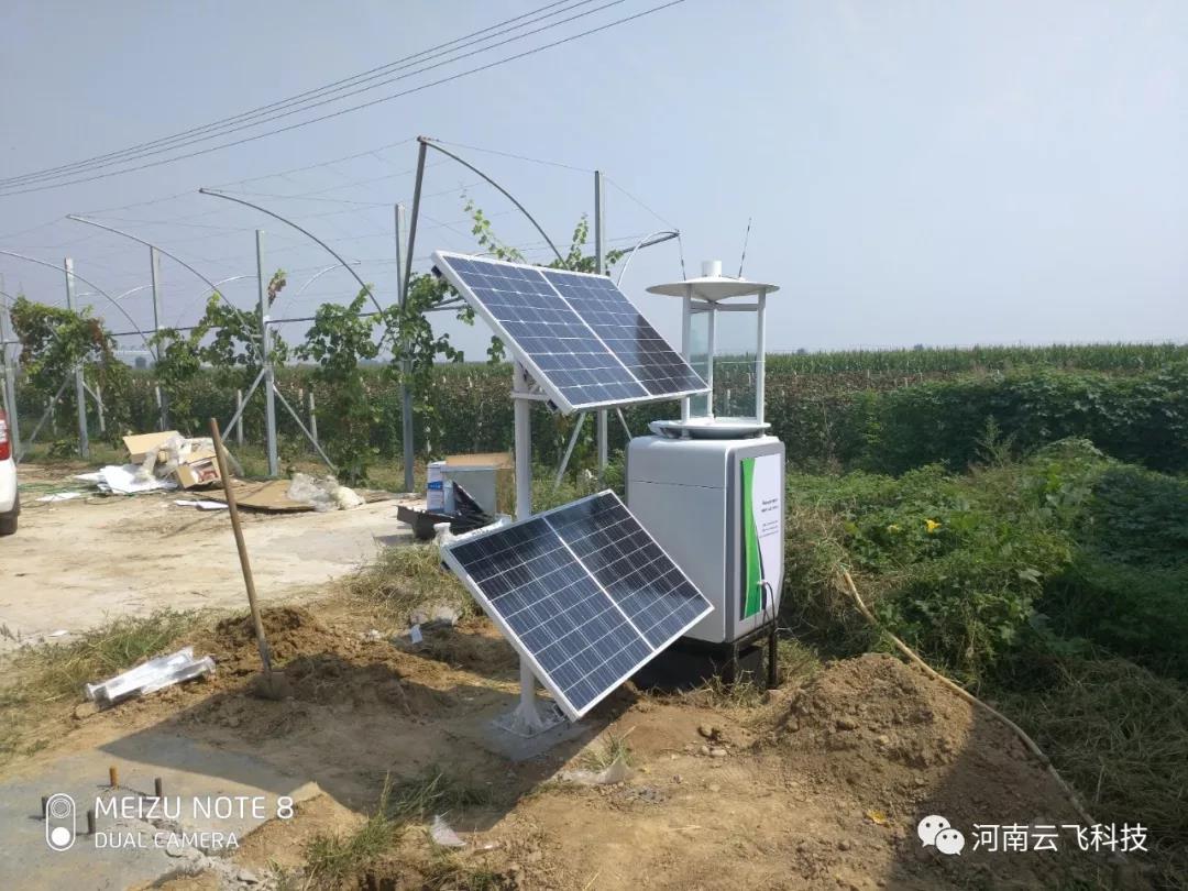 蟲情測報燈為葡萄園蟲害防治提供指導(dǎo)