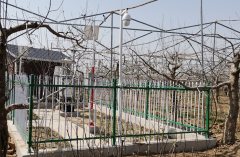 遠(yuǎn)程拍照式蟲(chóng)情測(cè)報(bào)燈真的能夠?qū)崿F(xiàn)蟲(chóng)害的遠(yuǎn)程